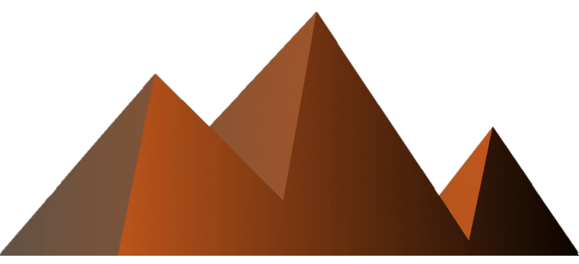 company xyz
